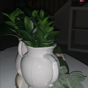 Meet your Posher, Yazmin